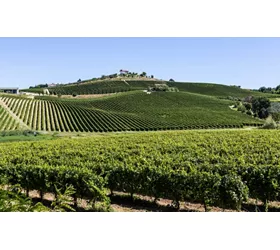 Enotour in Abruzzo