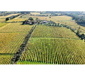 Wein-Tour im Latium