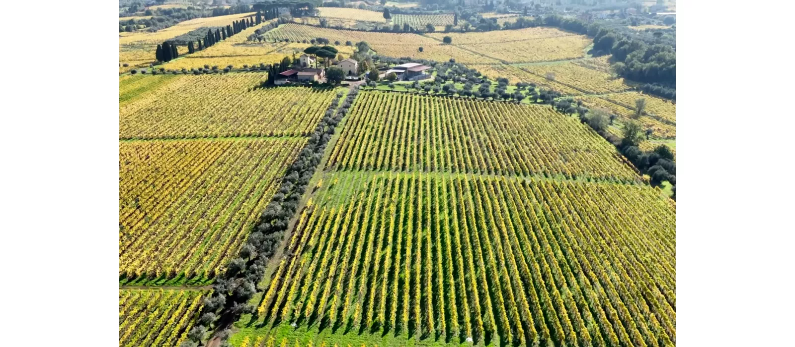 Enotour nel Lazio