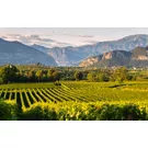 Weintour in der Lombardei