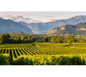 Weintour in der Lombardei