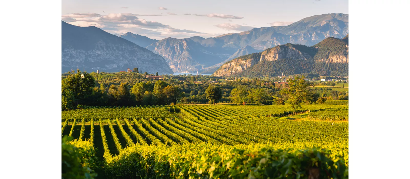 Weintour in der Lombardei