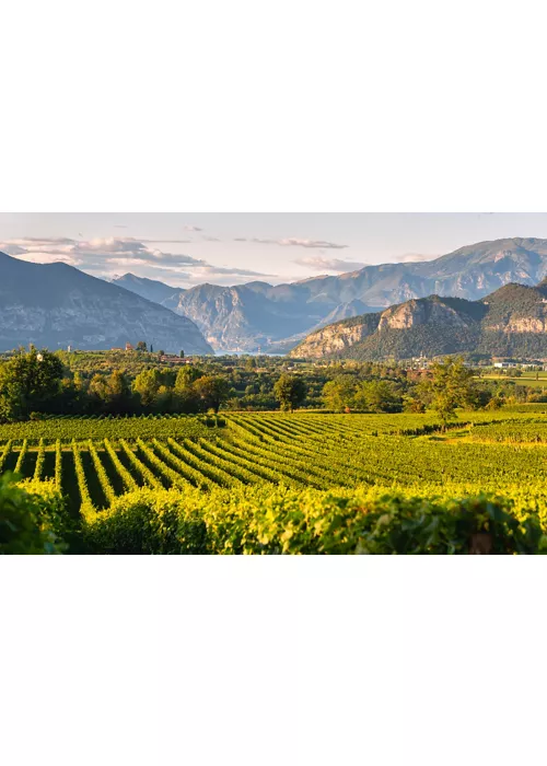 Weintour in der Lombardei