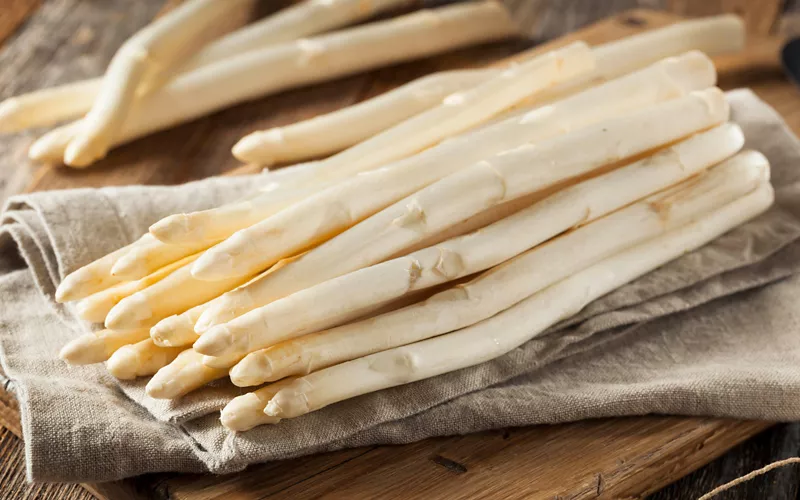 Excursões e passeios ao longo da estrada do Espargo