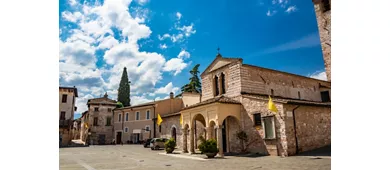 foligno olives