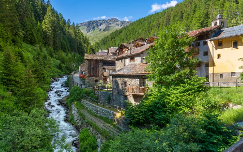 forest bathing in valle d'aosta