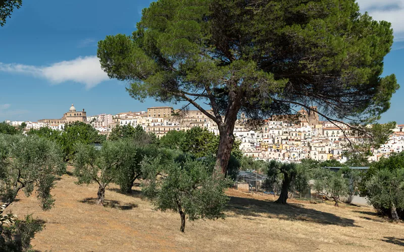 El molino de aceite más antiguo de Lucania