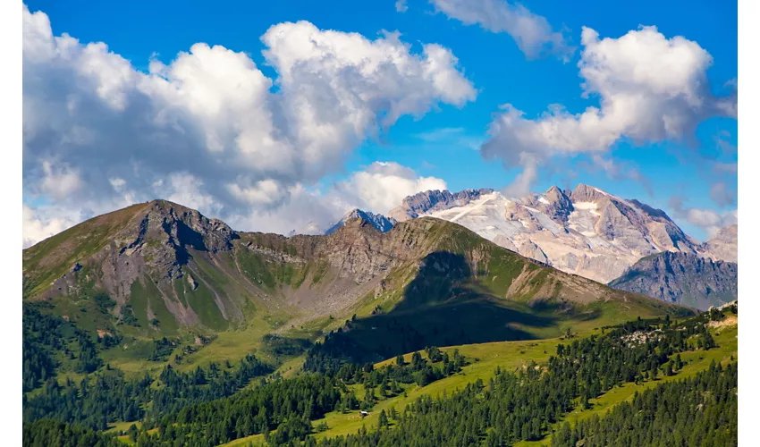 International Mountain Day