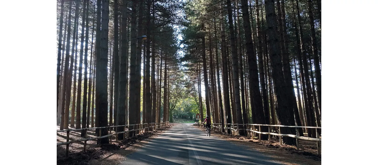 Itinerario Girifalco - Serra San Bruno - bosque Archiforo