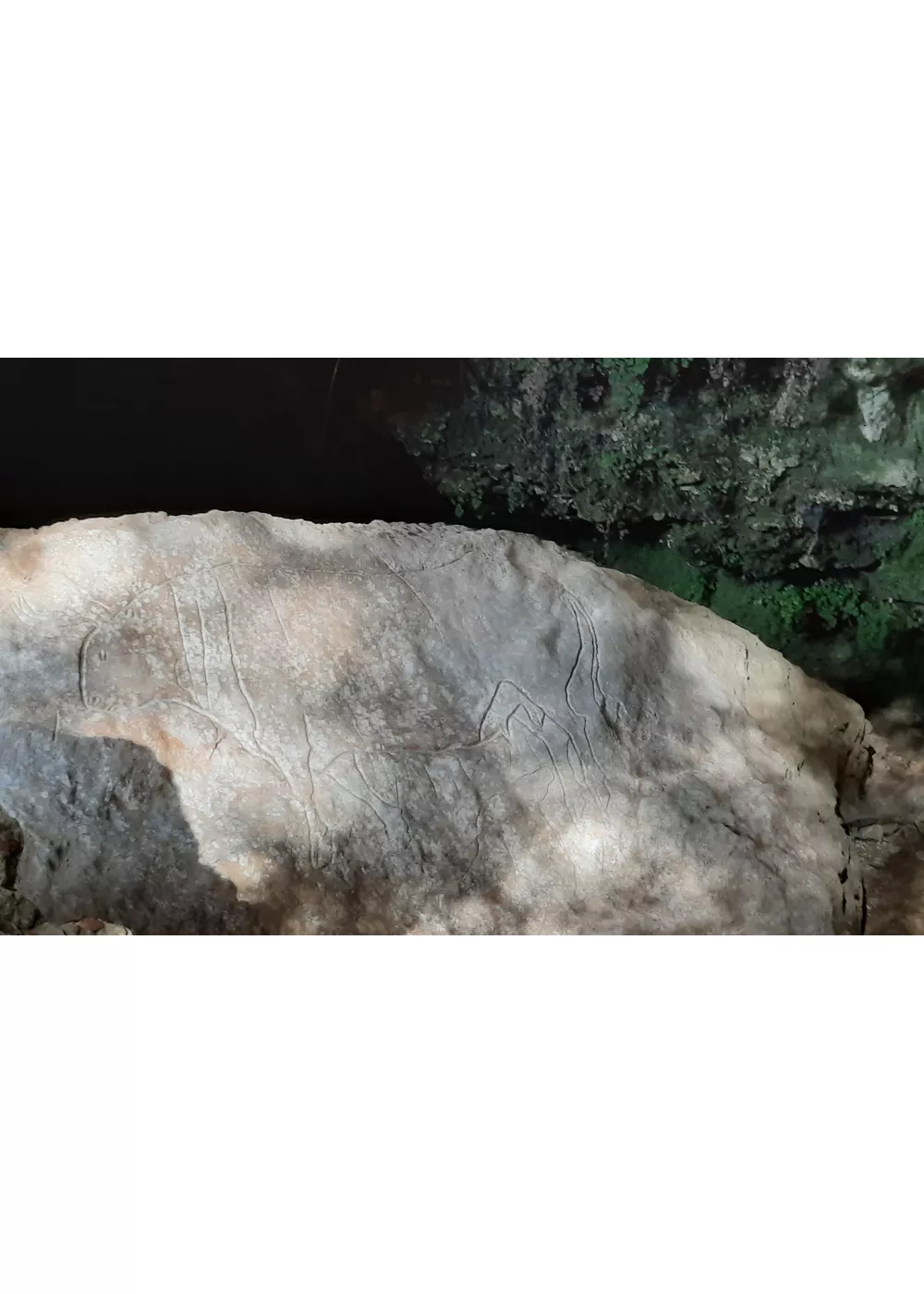 Un voyage dans la préhistoire entre les grottes du parc national du Pollino
