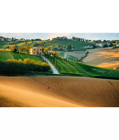 Marche region's hilly landscape