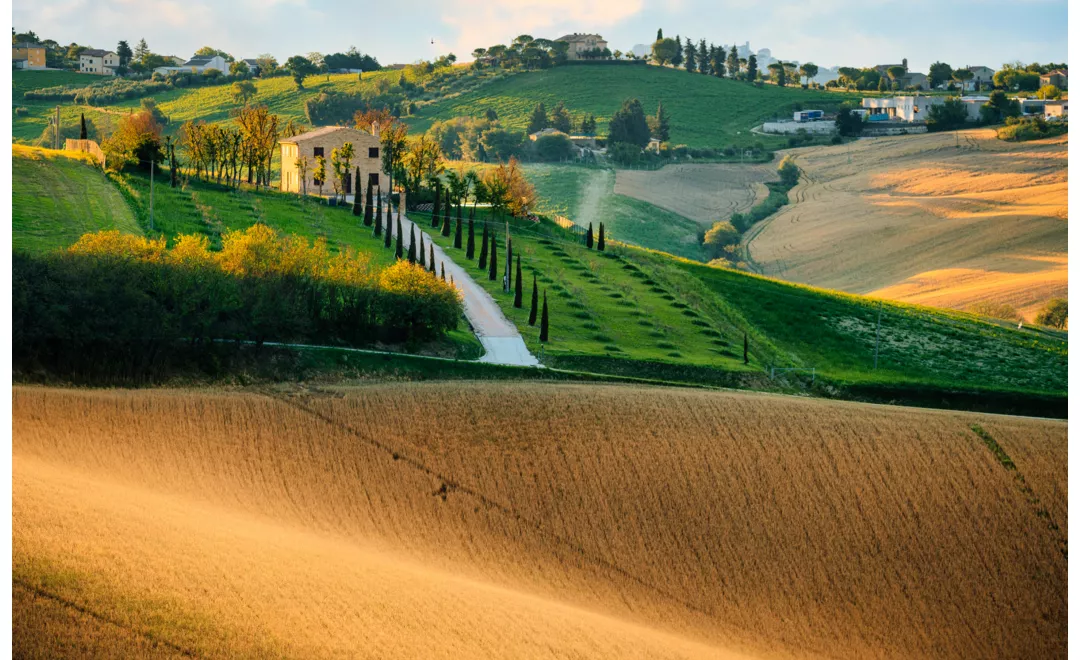 Marche region's hilly landscape