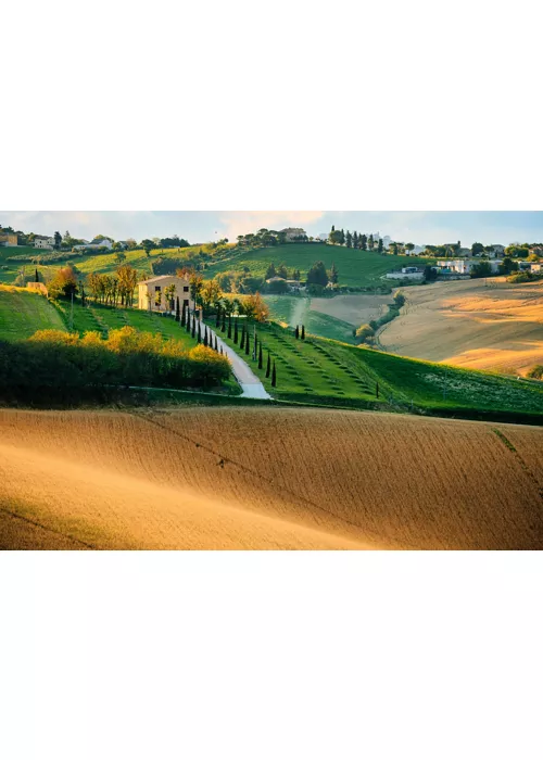 Marche region's hilly landscape