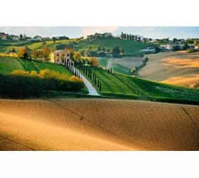 Paesaggio collinare delle Marche