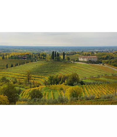 Enotour in Friuli Venezia Giulia