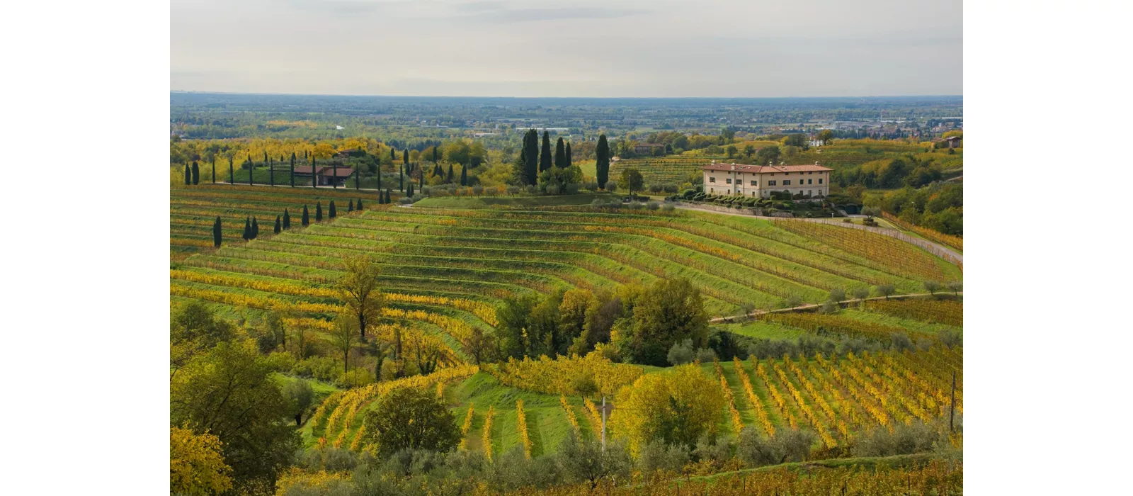 Enotour in Friuli Venezia Giulia