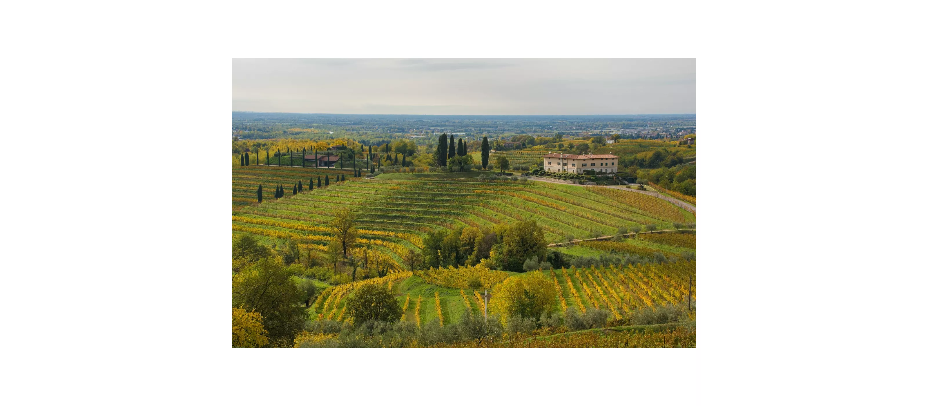 Enotour in Friuli Venezia Giulia