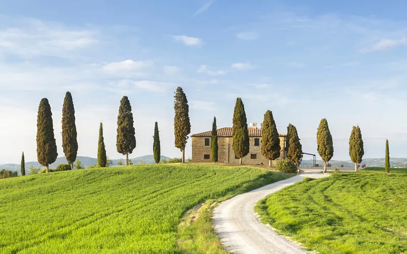  Team building in Bologna amidst Emilian vineyards and orchards