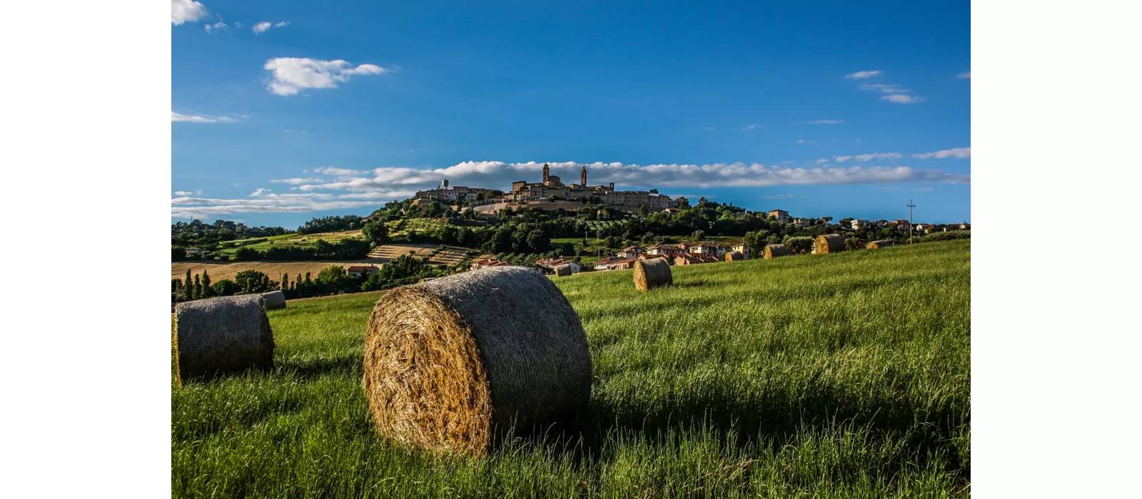 The flavours of the Macerata area and surroundings between tradition and looking to the future