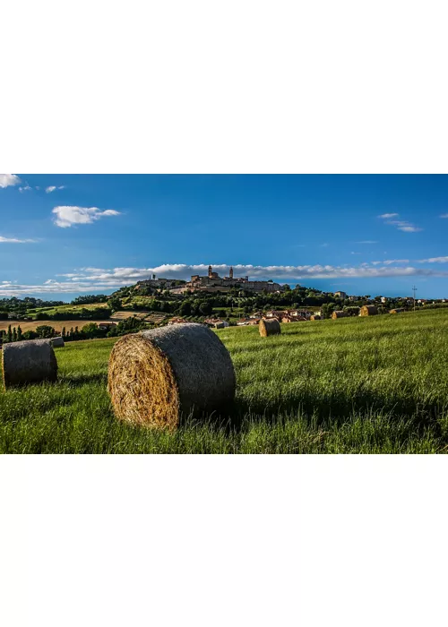 I sapori del Maceratese e dintorni tra tradizione e sguardo al futuro