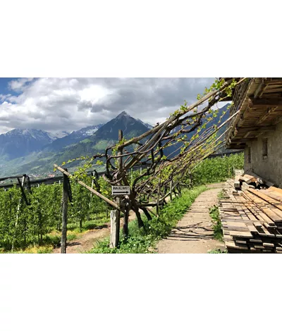 Canales en Alto Adige: los caminos de las Vías dell'Acqua