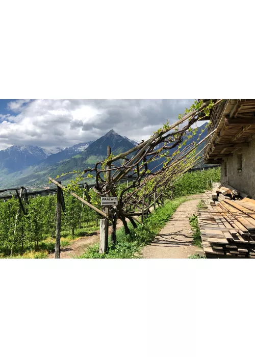 Canales en Alto Adige: los caminos de las Vías dell'Acqua