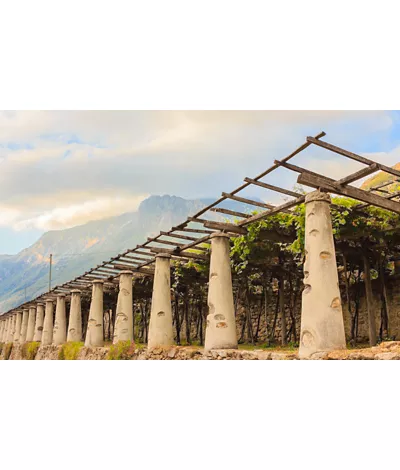 Los viñedos en terrazas de Carema: un paisaje único y un vino imperdible