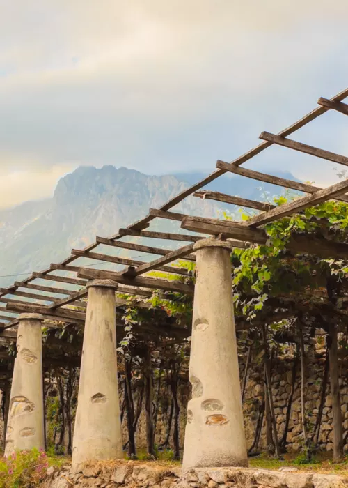 Los viñedos en terrazas de Carema: un paisaje único y un vino imperdible