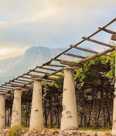 The terraced vineyards of Carema: unique landscape and an unmissable wine