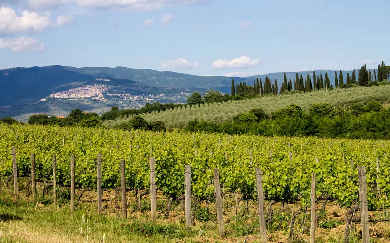 il falconiere in toscana