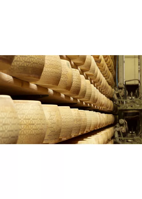 Le Grana Padano
