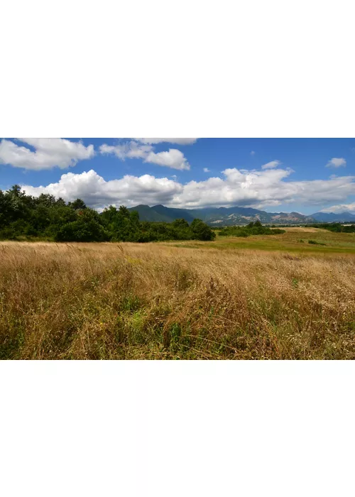 Il Matese molisano: borghi e natura da cinema