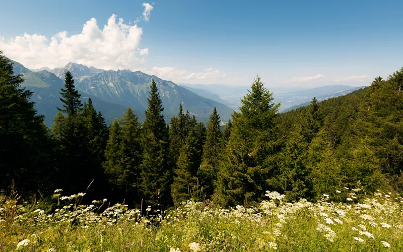 El parque del Respiro en el bosque de la Paganella, en el Trentino