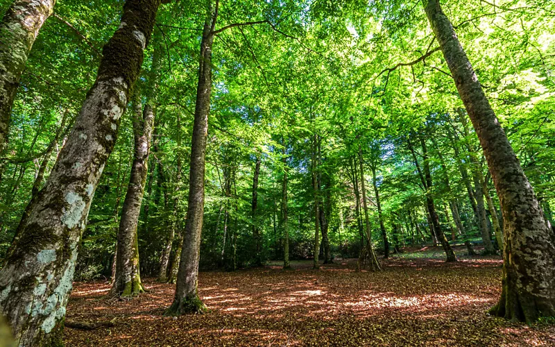 Il parco nazionale