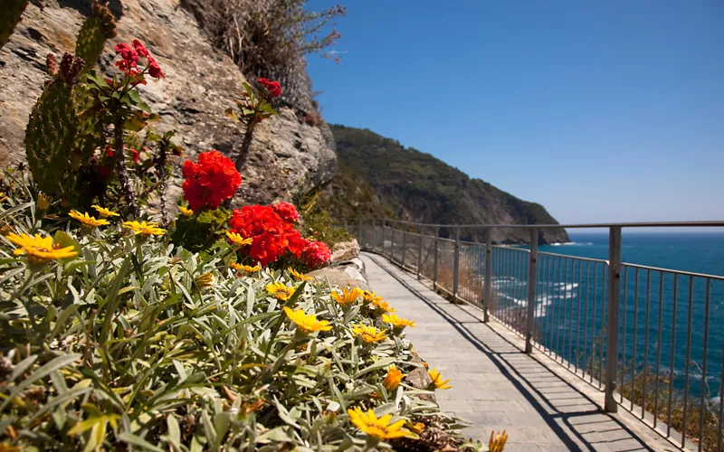 Sendero Azul en Liguria