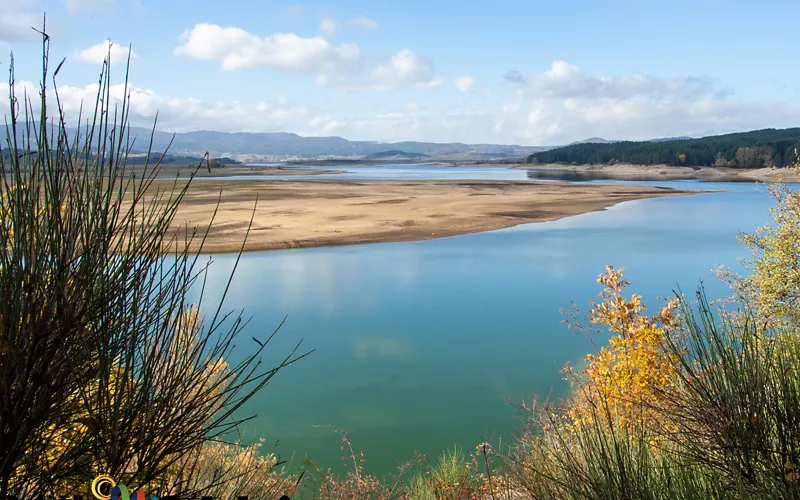 the train and the nature reserve