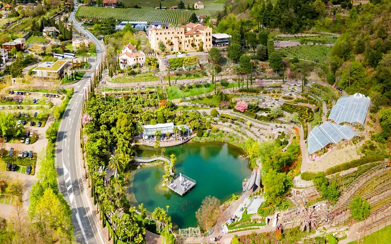 4 Themenbereiche für eine botanische Tour durch die Welt