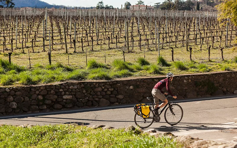 Franciacorta (BS)