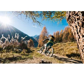 Ciclista su un sentiero in montagna