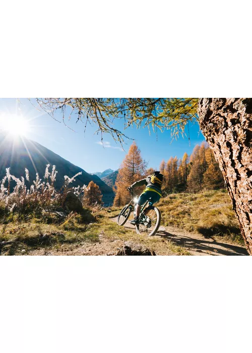 Ciclista su un sentiero in montagna