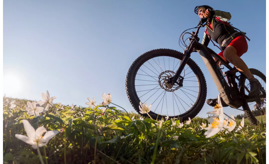 in-ebike-parco-della-murgia-hero