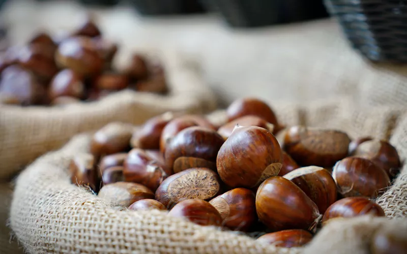 L'indication géographique protégée