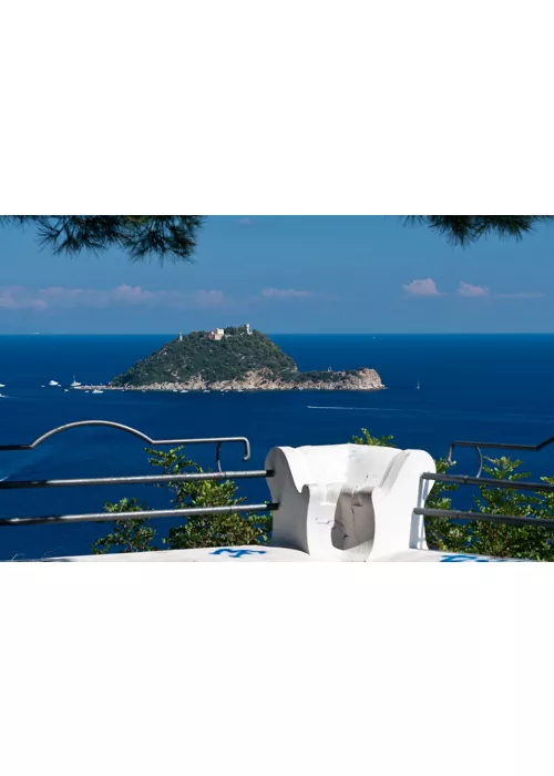 Île Gallinara