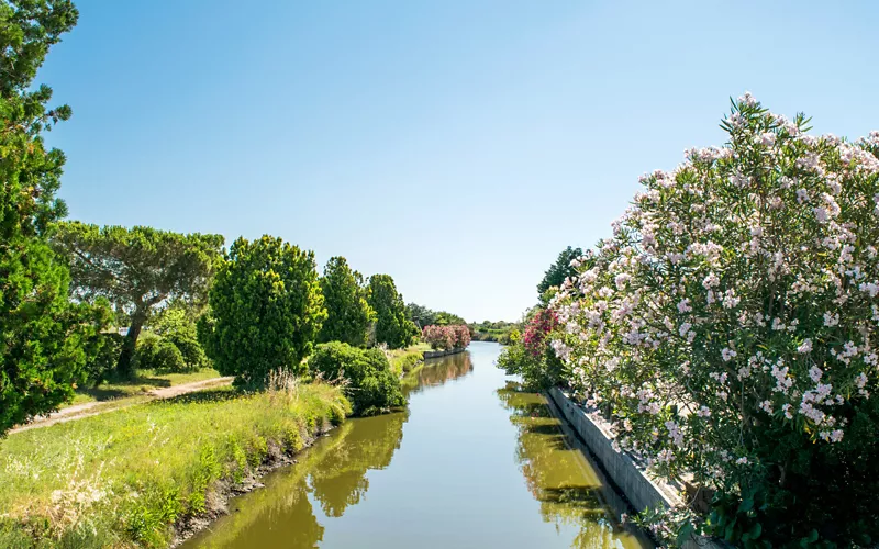 L'île de Sant'Erasmo : le jardin de Venise, une excursion au contact de la nature