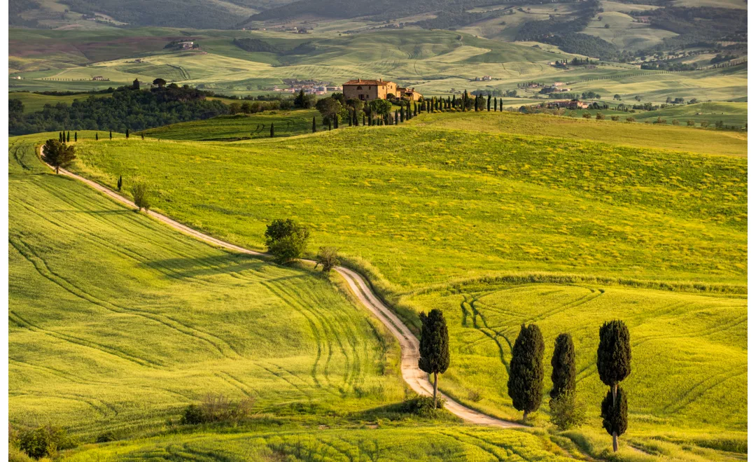 A road through the Tuscan hills