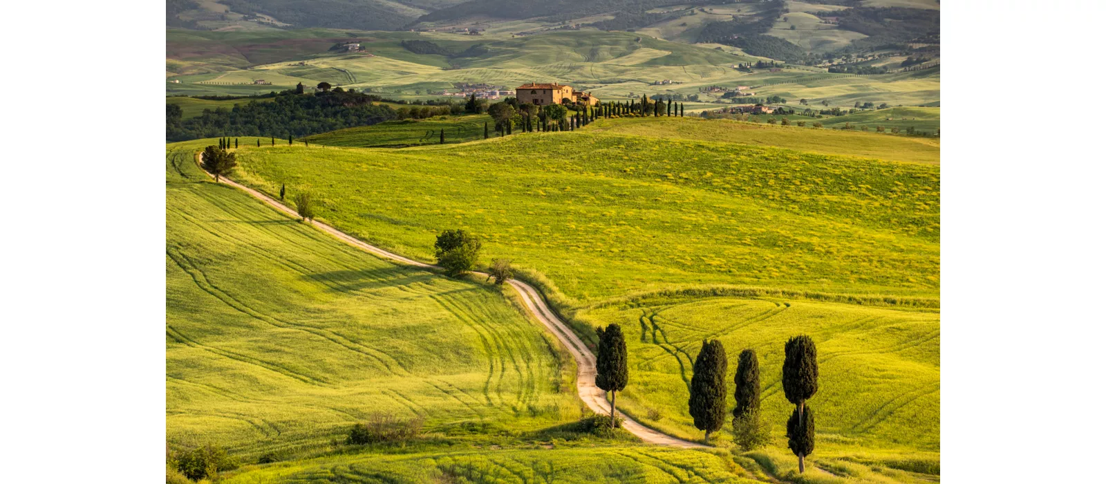 A road through the Tuscan hills