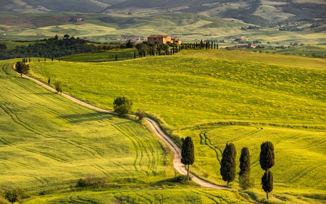 A road through the Tuscan hills