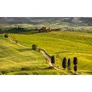 Strada che attraversa le colline toscane