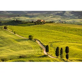 Strada che attraversa le colline toscane
