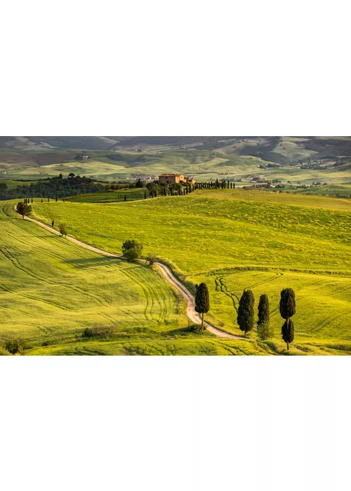 Strada che attraversa le colline toscane